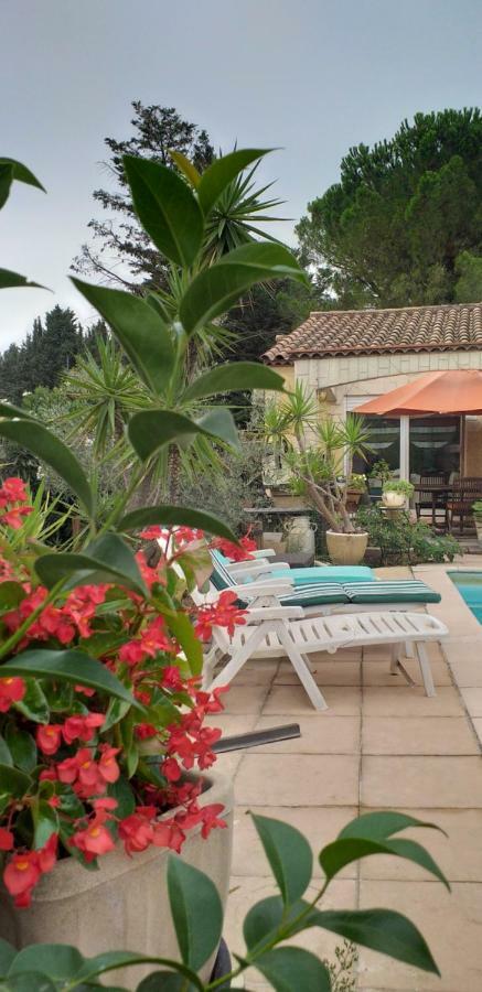 Chez Mamiyo Apartment แกลลาเกอ-เลอ-มองต์เทอร์ ภายนอก รูปภาพ